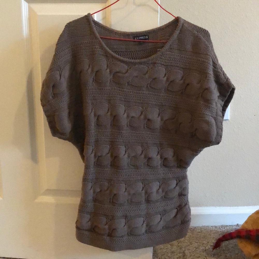 Express brown short sleeved sweater